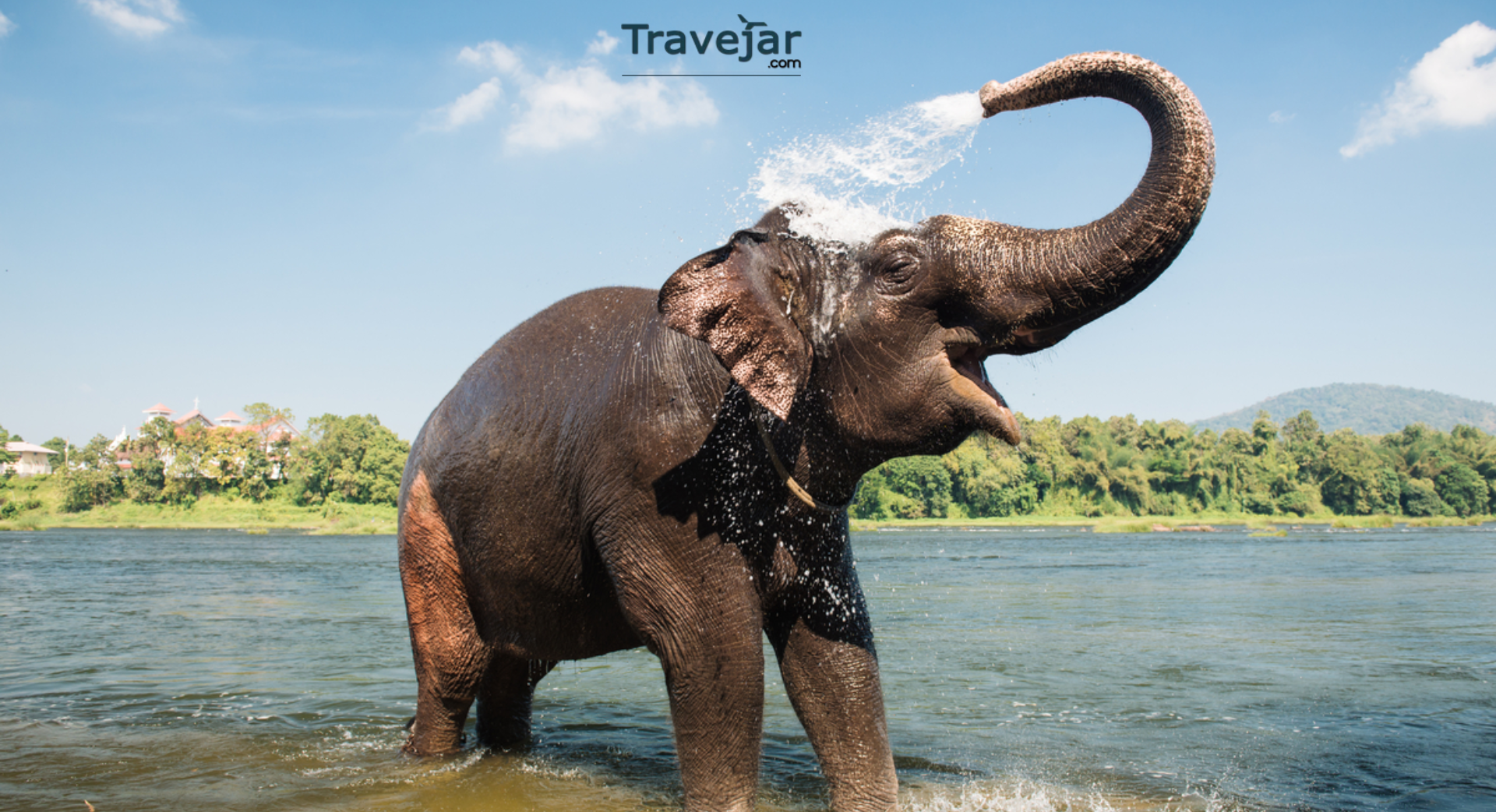 National Parks and Wildlife Sanctuaries of Rajasthan