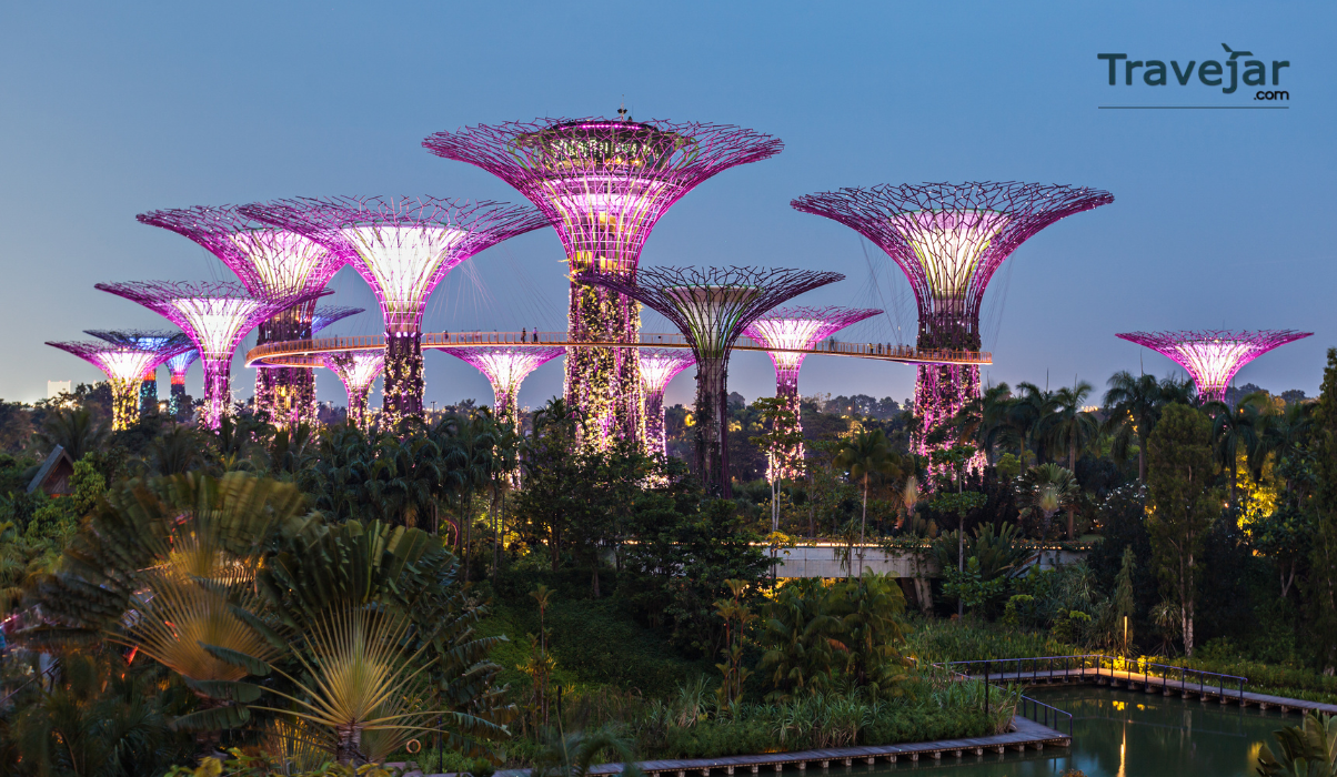 singapore tour