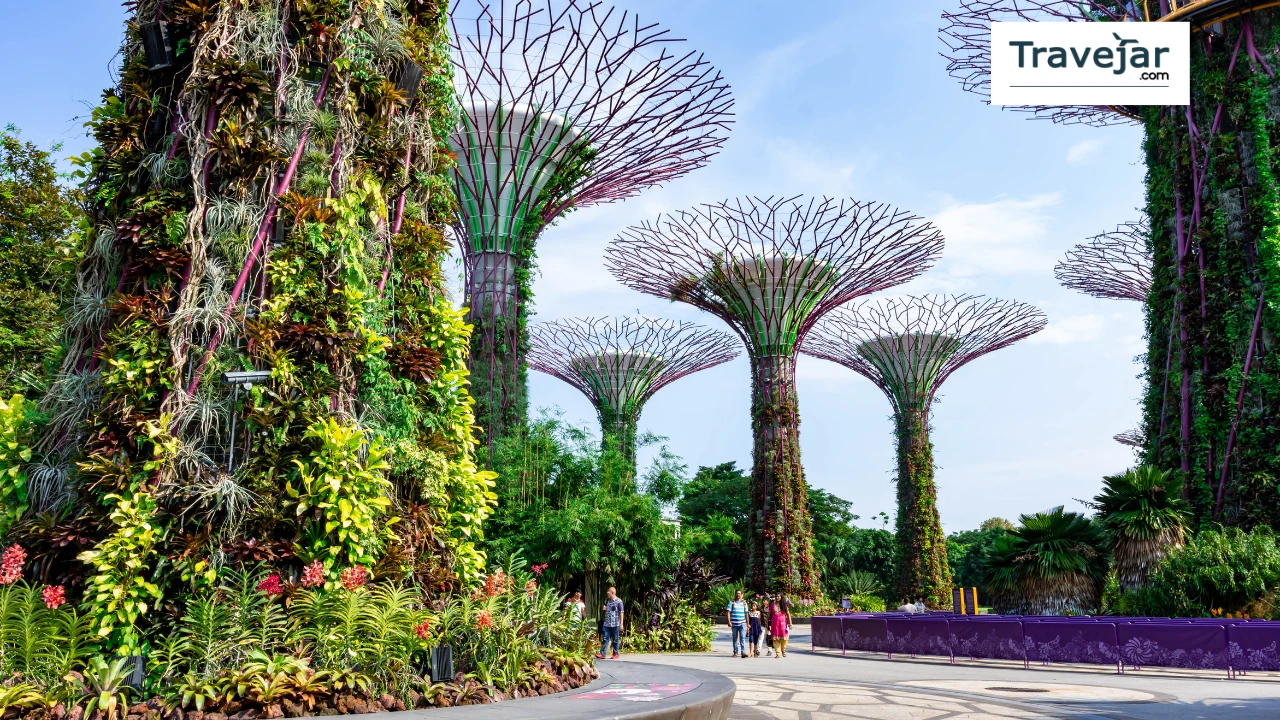 Singapore in August