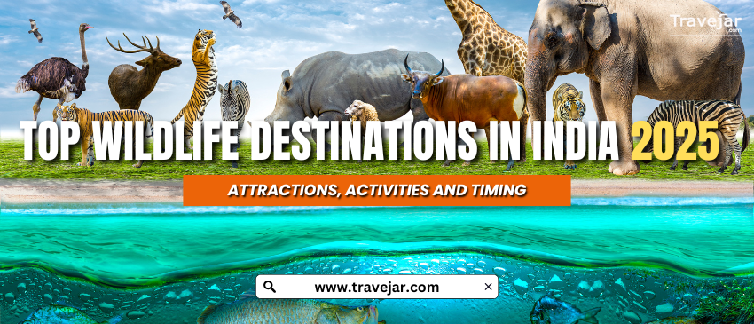 Top Wildlife Destinations In India 2025